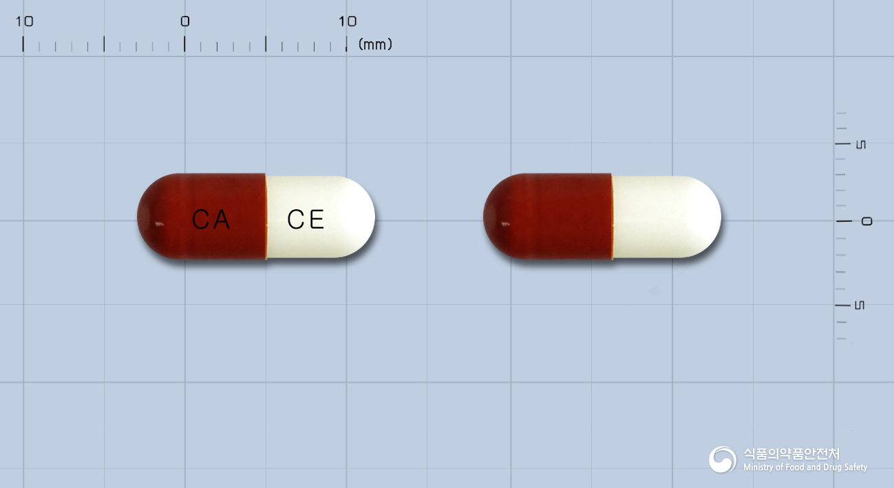 세파캡슐250mg(세파클러수화물) 제품 이미지