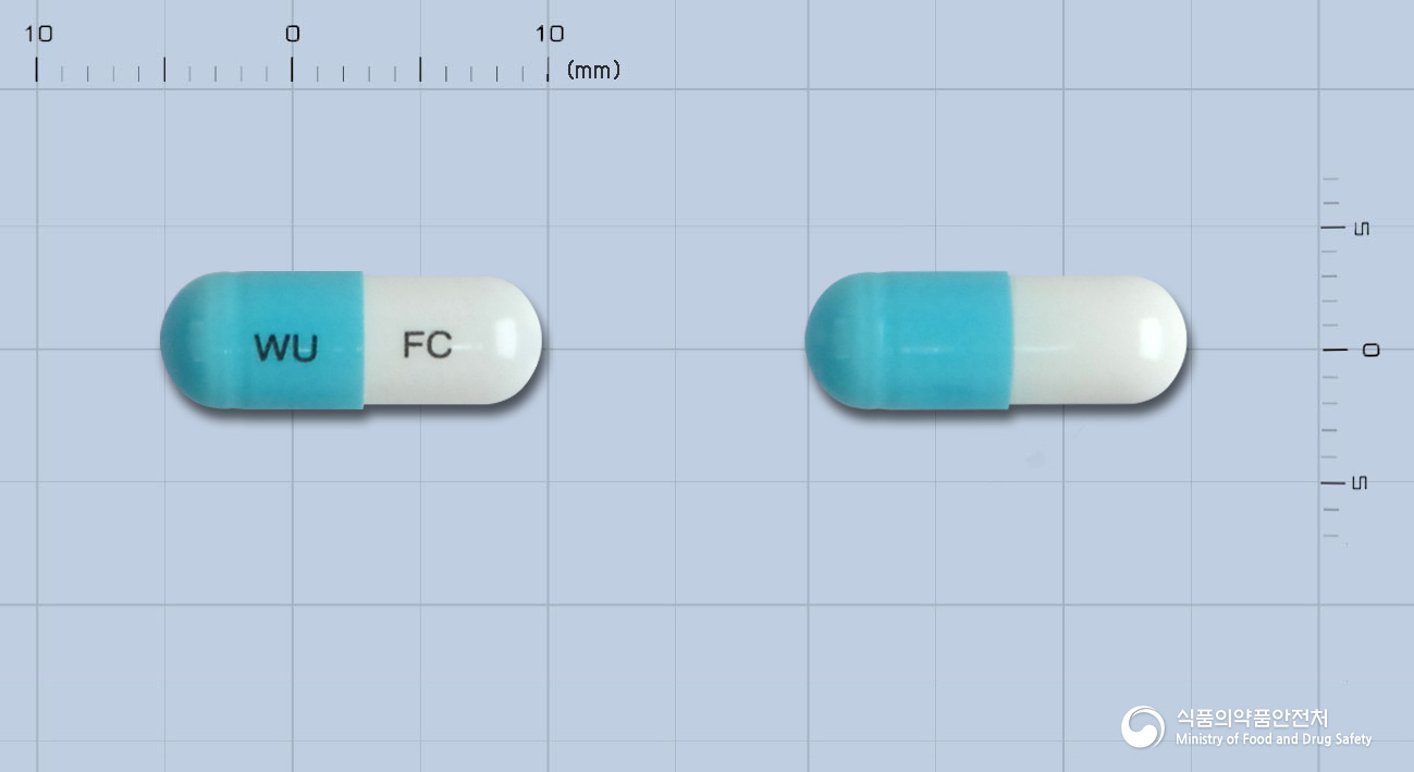 후로졸캡슐50mg(플루코나졸) 제품 이미지