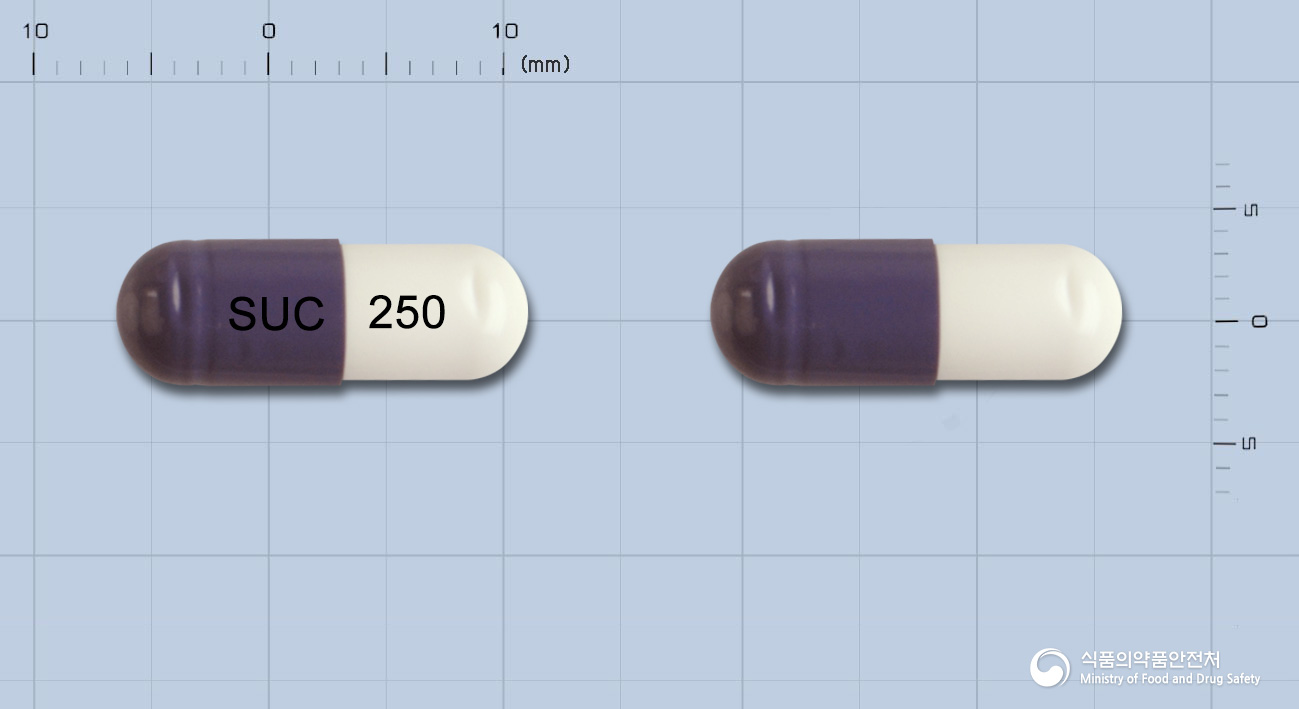 뉴세파캡슐250mg(세파클러수화물) 제품 이미지