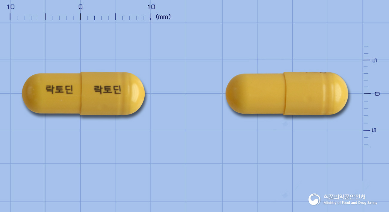 락토딘캡슐 제품 이미지