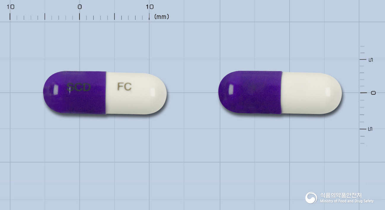 파클캡슐(세파클러수화물)(수출명:삼천당세파클러캡슐250mg) 제품 이미지