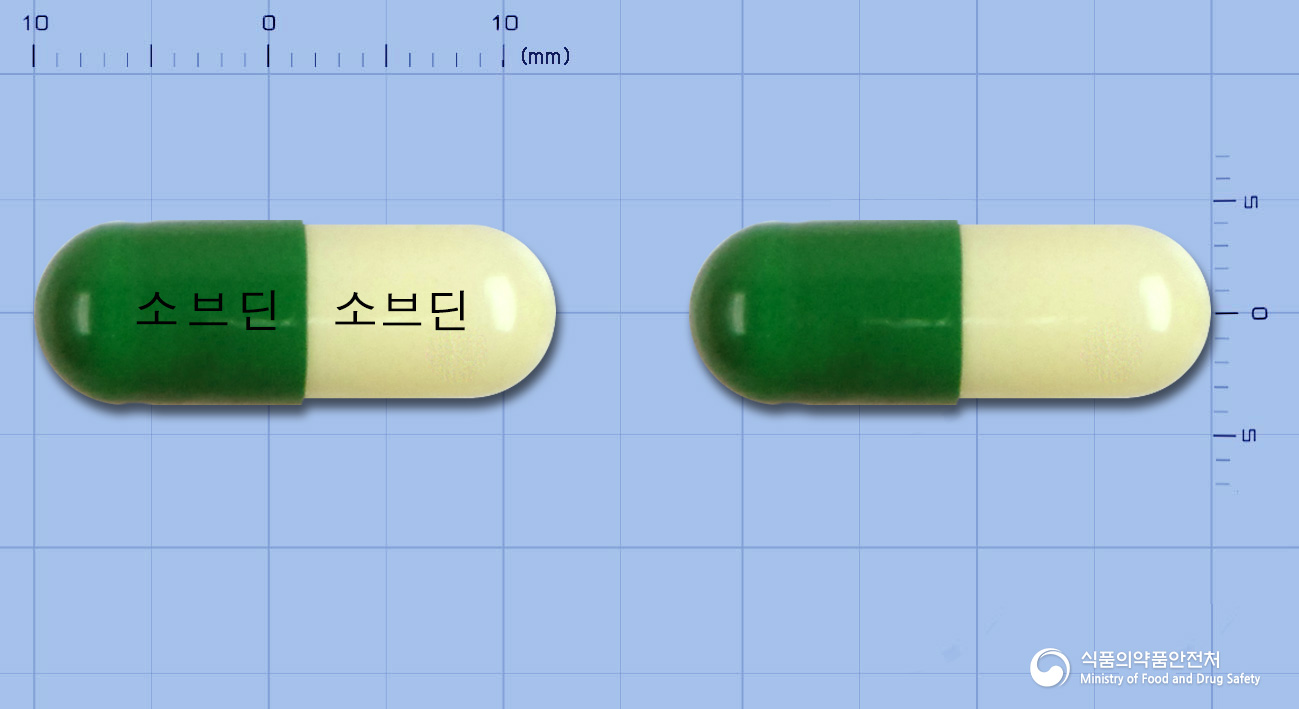 소브딘캡슐(수출용) 제품 이미지