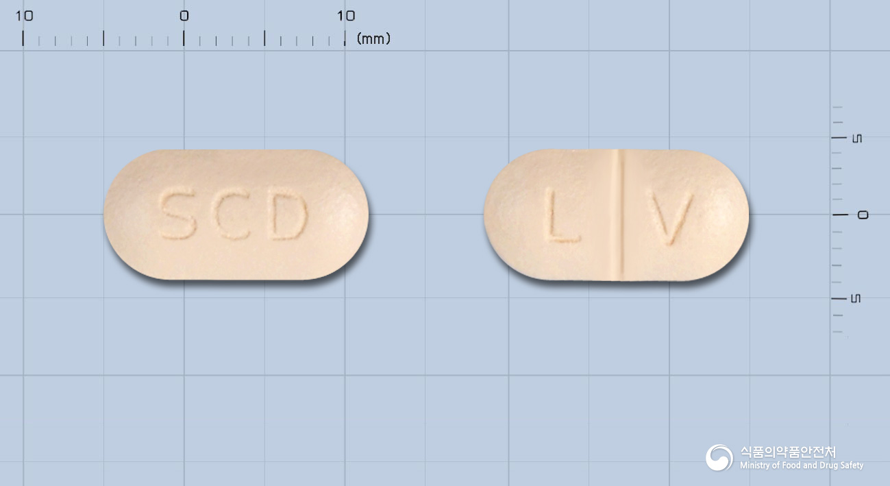 레보스타정500mg(레보플록사신)(수출용) 제품 이미지