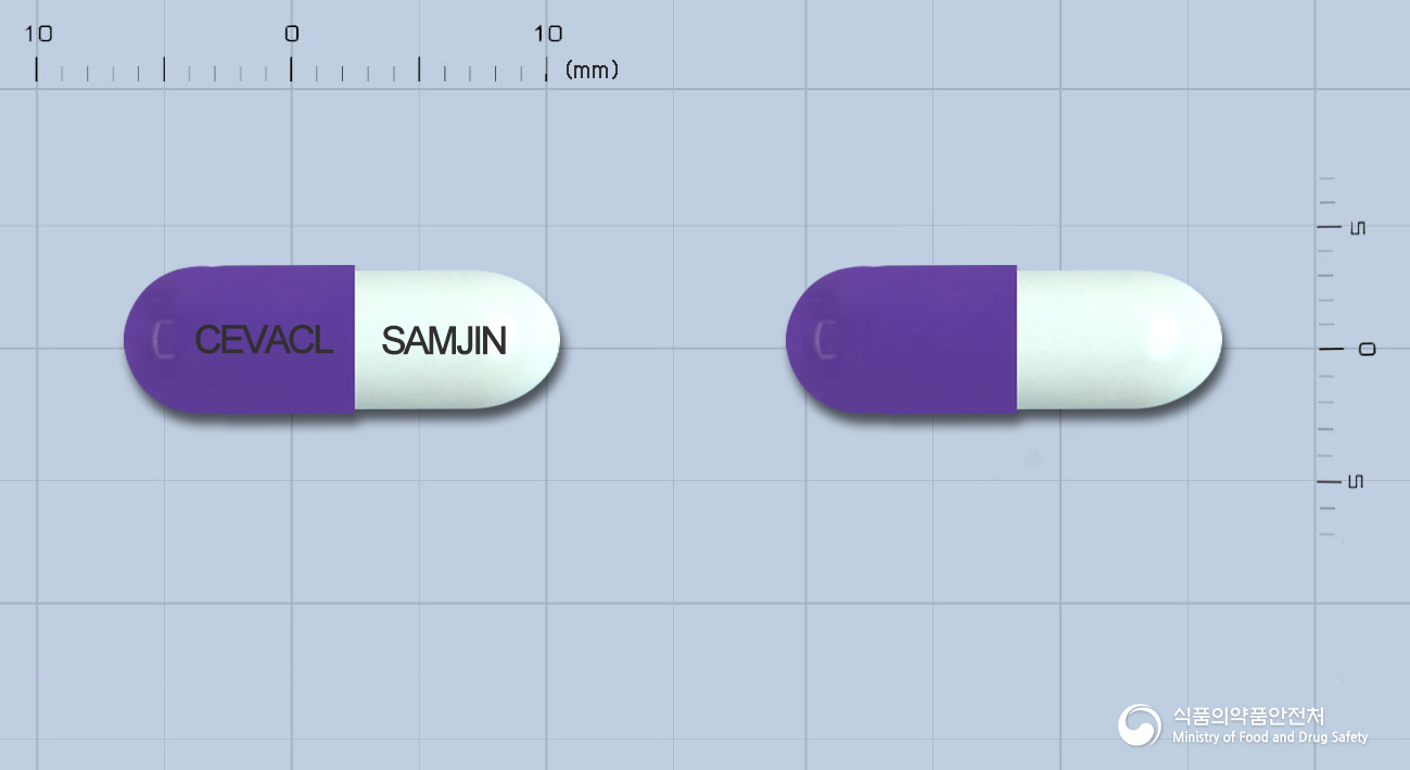 세바클캡슐250mg(세파클러수화물) 제품 이미지