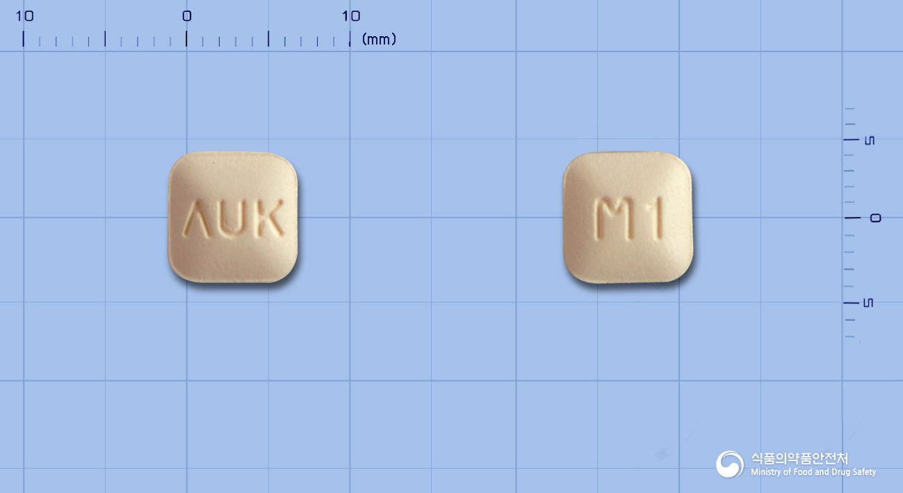 몬테스코정10mg(몬테루카스트나트륨) 제품 이미지