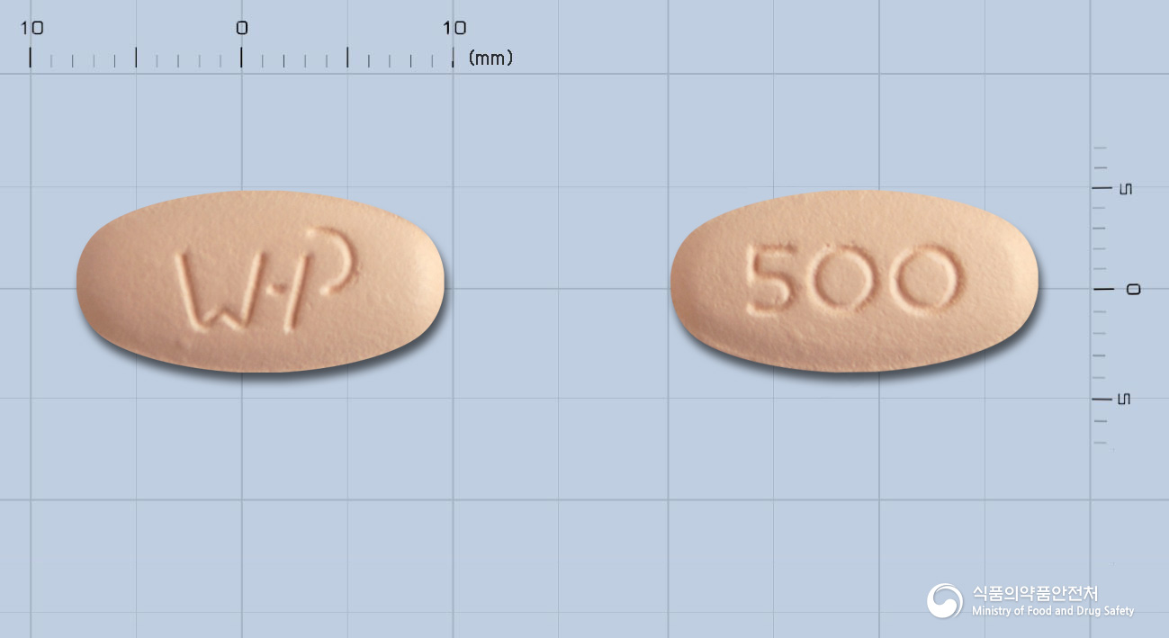 하이록신정500mg(레보플록사신수화물) 제품 이미지