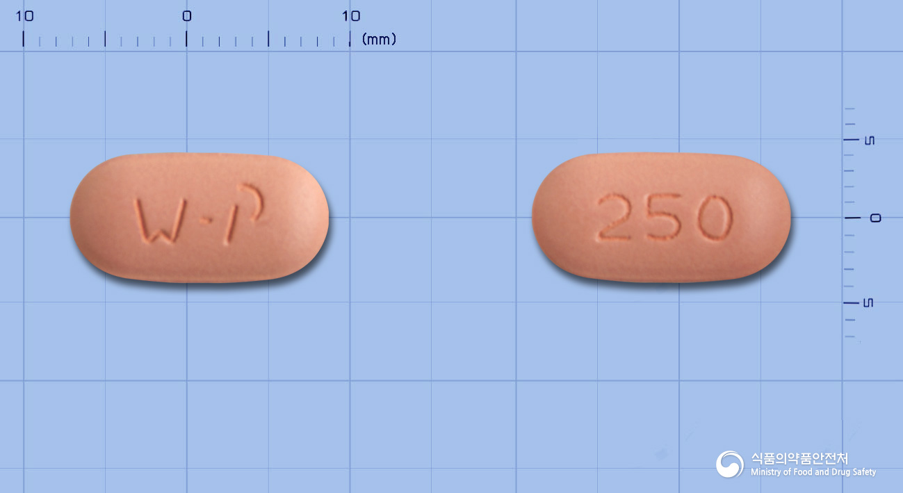 하이록신정250mg(레보플록사신수화물) 제품 이미지