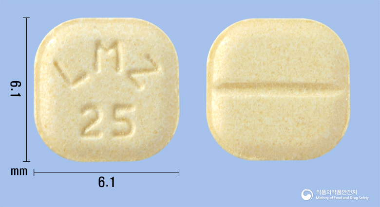 라모진정25mg(라모트리진) 제품 이미지