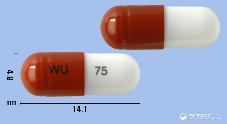 레가바캡슐75mg(프레가발린) 제품 이미지