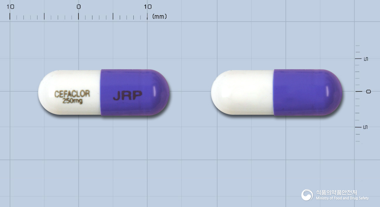 제이알세파클러캡슐250mg(세파클러수화물) 제품 이미지