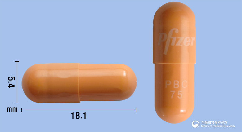 입랜스캡슐75mg(팔보시클립) 제품 이미지