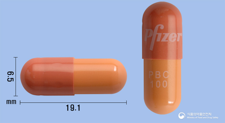 입랜스캡슐100mg(팔보시클립) 제품 이미지