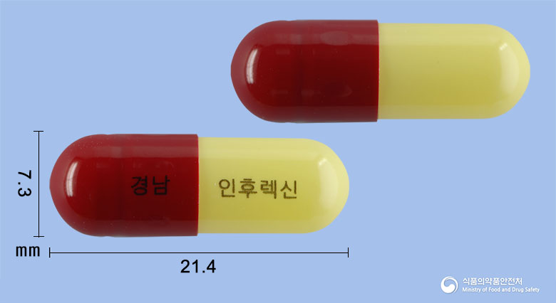 인후렉신캡슐(은교산) 제품 이미지
