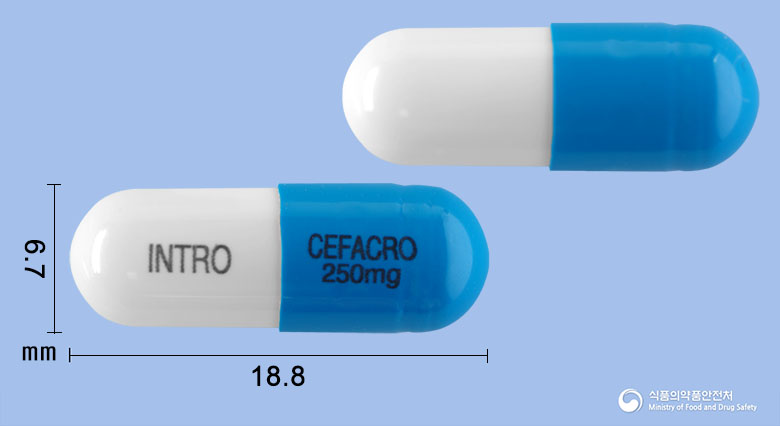 세파크로캡슐250mg(세파클러수화물) 제품 이미지