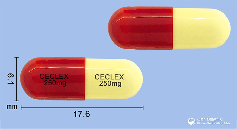 세클렉스캡슐250mg(세파클러수화물) 제품 이미지