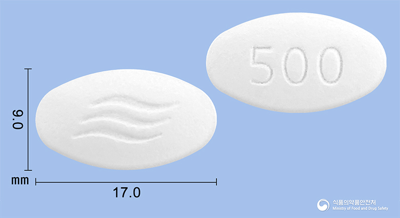 애니목스정500mg(아목시실린·설박탐피복실) 제품 이미지